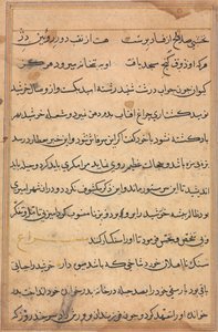 Pagina da Tales of a Parrot Tuti-nama: pagina di testo, c. 1560 da Unbekannt