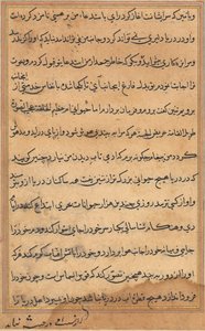Pagina da Tales of a Parrot Tuti-nama: pagina di testo, c. 1560 da Unbekannt
