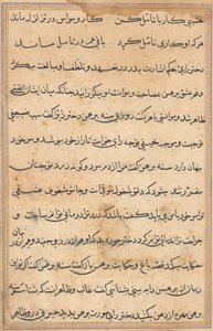 Pagina da Tales of a Parrot Tuti-nama: pagina di testo, c. 1560 da Unbekannt