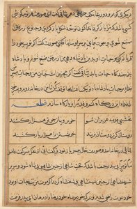 Pagina da Tales of a Parrot Tuti-nama: pagina di testo, c. 1560 da Unbekannt