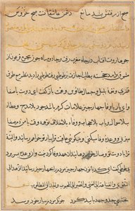 Pagina da Tales of a Parrot Tuti-nama: pagina di testo, c. 1560 da Unbekannt
