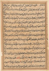 Pagina da Tales of a Parrot Tuti-nama: pagina di testo da Unbekannt