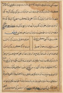 Pagina da Tales of a Parrot Tuti-nama: pagina di testo, c. 1560 da Unbekannt