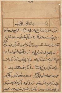 Pagina da 