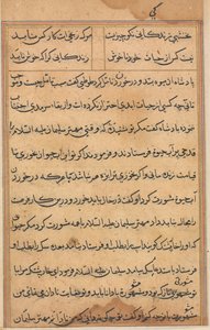 Pagina da Tales of a Parrot Tuti-nama: pagina di testo da Unbekannt