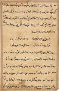 Pagina da Tales of a Parrot Tuti-nama: pagina di testo da Unbekannt