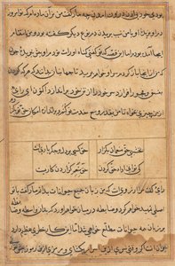 Pagina da Tales of a Parrot Tuti-nama: pagina di testo da Unbekannt