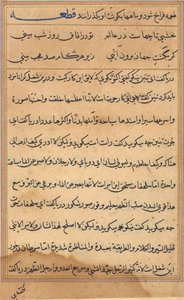 Pagina da Racconti di un pappagallo Tuti-nama: pagina di testo, c. 1560 da Unbekannt