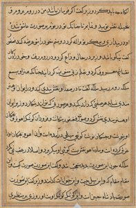 Pagina da Storie di un pappagallo Tuti-nama: pagina di testo, c. 1560 da Unbekannt