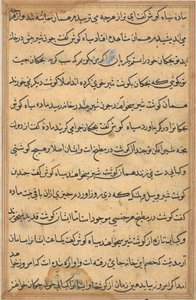 Pagina da Tales of a Parrot Tuti-nama: pagina di testo, c. 1560 da Unbekannt
