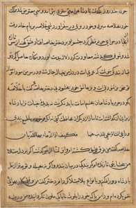 Pagina da Tales of a Parrot Tuti-nama: pagina di testo da Unbekannt