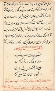 Pagina da Racconti di un pappagallo Tuti-nama: pagina di testo, c. 1560 da Unbekannt