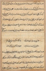Pagina da Racconti di un pappagallo Tuti-nama: pagina di testo, c. 1560