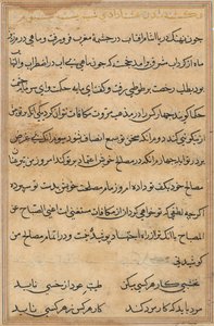 Pagina da Racconti di un pappagallo Tuti-nama: pagina di testo, c. 1560 da Unbekannt