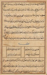 Pagina da Tales of a Parrot Tuti-nama: pagina di testo, c. 1560 da Unbekannt