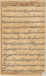 Pagina da Tales of a Parrot Tuti-nama: pagina di testo, c. 1560 da Unbekannt