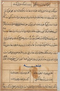Pagina da Tales of a Parrot Tuti-nama: pagina di testo, c. 1560 da Unbekannt