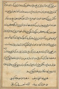 Pagina da Tales of a Parrot Tuti-nama: pagina di testo da Unbekannt