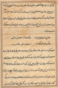 Pagina da Tales of a Parrot Tuti-nama: pagina di testo, c. 1560 da Unbekannt