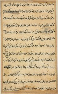 Pagina da Tales of a Parrot Tuti-nama: pagina di testo da Unbekannt