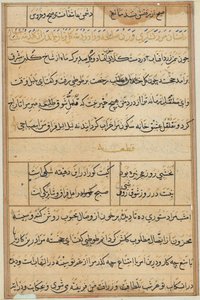 Pagina da Tales of a Parrot Tuti-nama: pagina di testo, c. 1560 da Unbekannt