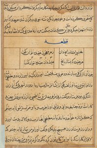Pagina da Tales of a Parrot Tuti-nama: pagina di testo, ca. 1560 da Unbekannt