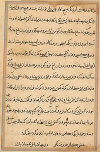 Pagina da Tales of a Parrot Tuti-nama: pagina di testo da Unbekannt