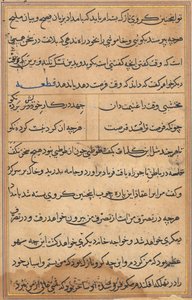 Pagina da Tales of a Parrot Tuti-nama: pagina di testo, c. 1560 da Unbekannt