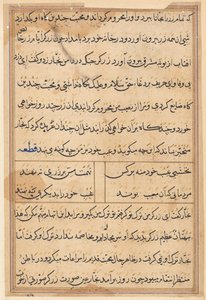 Pagina da Tales of a Parrot Tuti-nama: pagina di testo da Unbekannt
