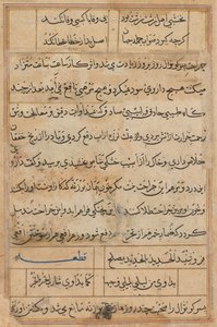 Pagina da Racconti di un pappagallo Tuti-nama: pagina di testo, c. 1560 da Unbekannt
