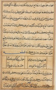 Pagina da Racconti di un pappagallo Tuti-nama: pagina di testo, c. 1560 da Unbekannt