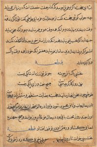 Pagina da Racconti di un pappagallo Tuti-nama: pagina di testo, c. 1560 da Unbekannt