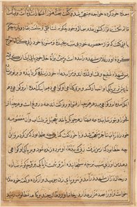 Pagina da Racconti di un pappagallo Tuti-nama: pagina di testo, c. 1560 da Unbekannt