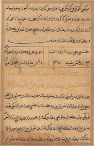 Pagina da Racconti di un pappagallo Tuti-nama: pagina di testo, c. 1560 da Unbekannt