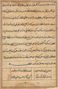 Pagina da Racconti di un pappagallo Tuti-nama: pagina di testo, c. 1560 da Unbekannt