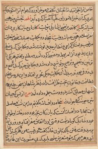 Pagina da Tales of a Parrot Tuti-nama: pagina di testo, c. 1560 da Unbekannt