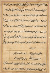 Pagina da Racconti di un pappagallo Tuti-nama: pagina di testo, c. 1560 da Unbekannt