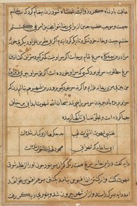 Pagina da Tales of a Parrot Tuti-nama: pagina di testo da Unbekannt