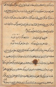 Pagina da Tales of a Parrot Tuti-nama: pagina di testo da Unbekannt