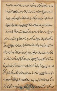 Pagina da Tales of a Parrot Tuti-nama: pagina di testo, c. 1560 da Unbekannt