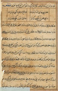 Pagina da Tales of a Parrot Tuti-nama: pagina di testo, c. 1560 da Unbekannt
