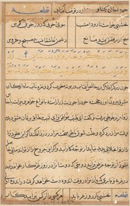 Pagina da Racconti di un pappagallo Tuti-nama: pagina di testo, c. 1560 da Unbekannt