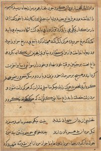 Pagina da Tales of a Parrot Tuti-nama: pagina di testo da Unbekannt