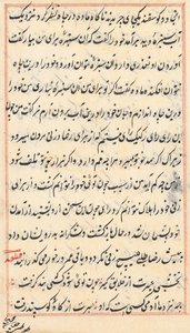 Pagina da Tales of a Parrot Tuti-nama: pagina di testo da Unbekannt