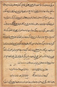 Pagina da Tales of a Parrot Tuti-nama: pagina di testo da Unbekannt