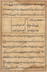 Pagina da Tales of a Parrot Tuti-nama: pagina di testo, c. 1560 da Unbekannt