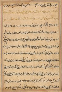 Pagina da Tales of a Parrot Tuti-nama: pagina di testo da Unbekannt