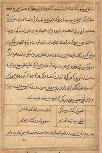 Pagina da Tales of a Parrot Tuti-nama: pagina di testo, c. 1560 da Unbekannt