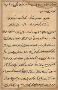 Pagina da Racconti di un pappagallo Tuti-nama: pagina di testo, c. 1560 da Unbekannt