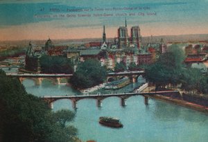 Panorama del fiume Senna con la Cattedrale di Notre-Dame e l